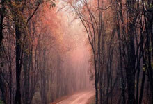 [CBA]辽宁逆转福建 送对手十二连败.