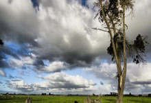 郑钦文4135分，排名上升到世界第8九派新闻.