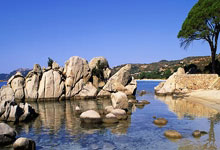 88直播:仁川冠军赛:直拍名将薛飞1-3林昀儒无缘16强,继续努力吧.